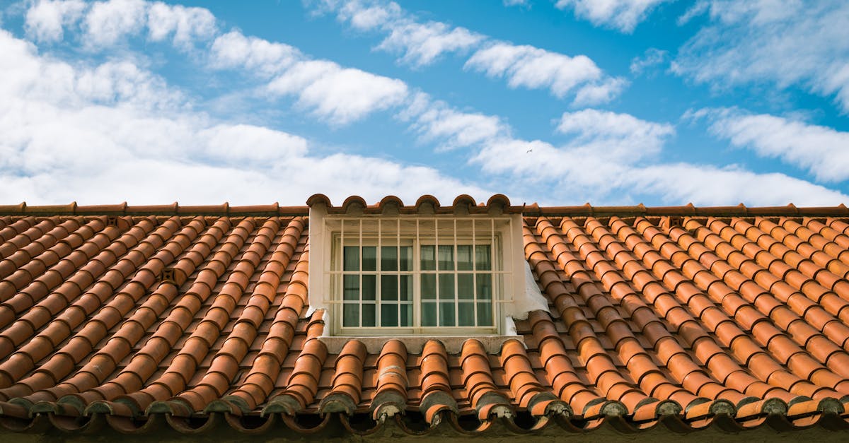 Assessing the Risks of Roof Treatments to Urban Wildlife in Sydney