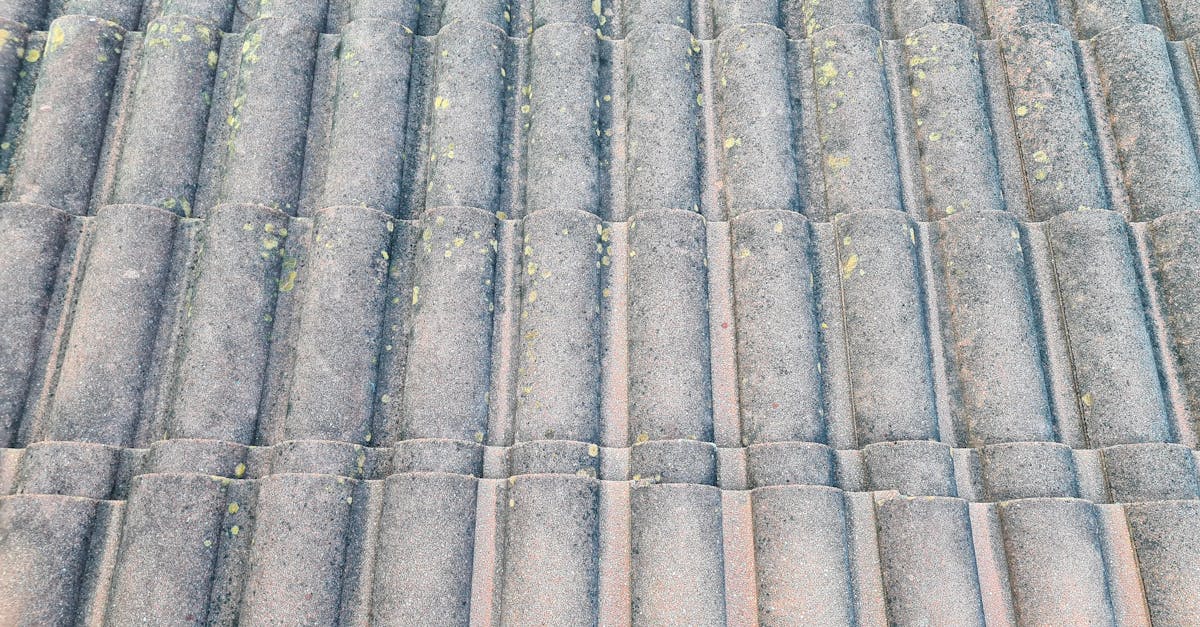 Choosing the Right Pressure Washer for Roof Cleaning Projects
