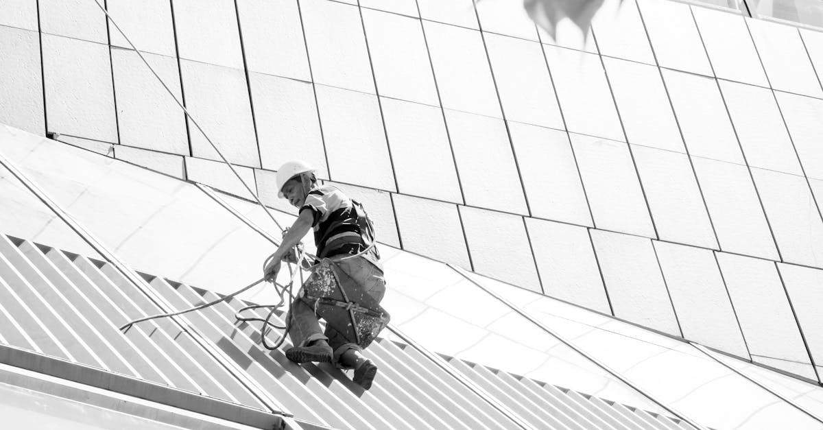 Comprehensive Guide to Cleaning Your Roof with Common Household Items