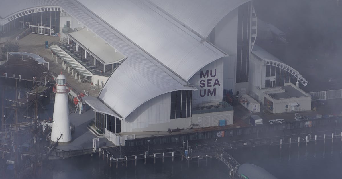 DIY Roof Cleaning Recipes for Eco-Conscious Homeowners