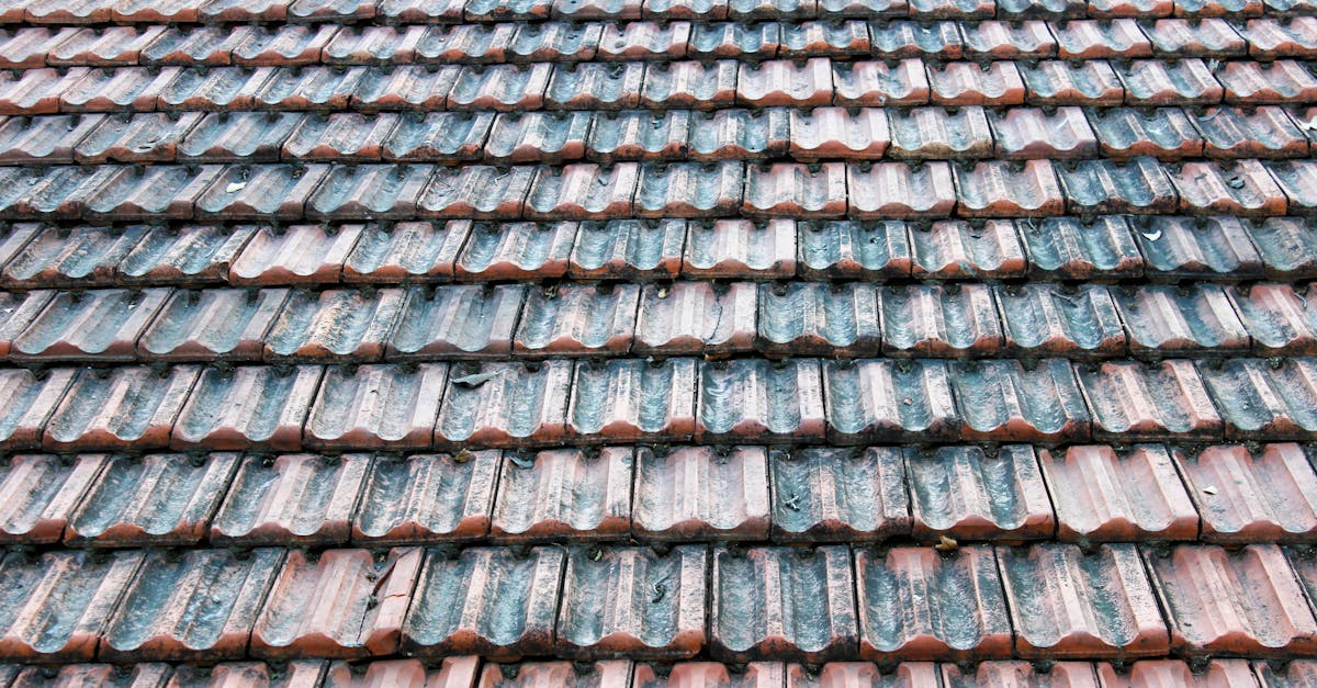 Eco-Friendly Roof Cleaners: A Comprehensive Guide