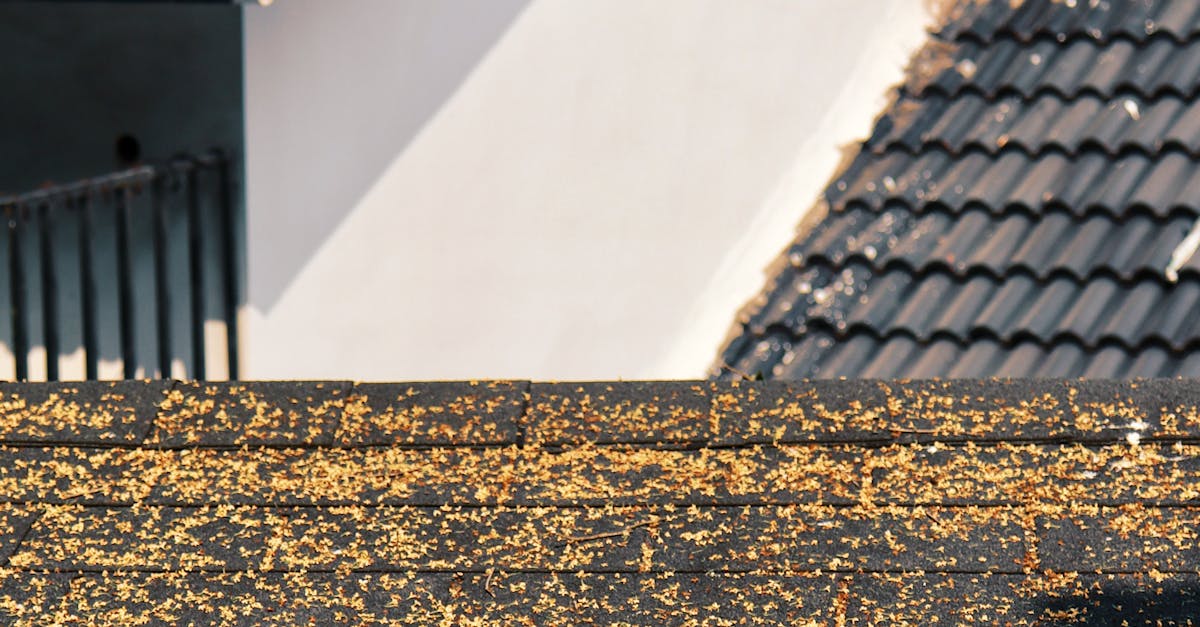 Effective Eco-Friendly Methods to Remove Moss from Roofs