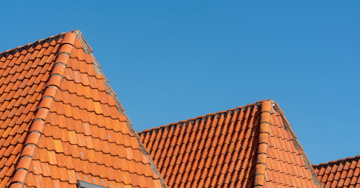 Essential Safety Gear for Roof Cleaning Projects