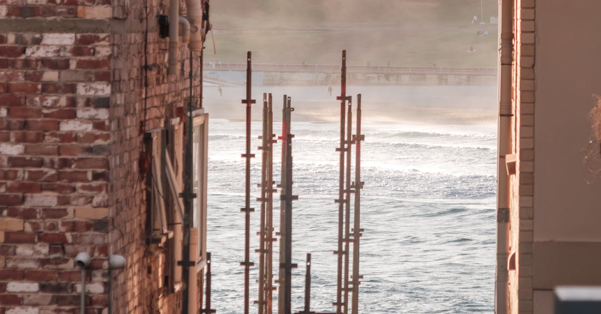 Evaluating the Impact of Roof Cleaning Products on Sydney's Soil Health