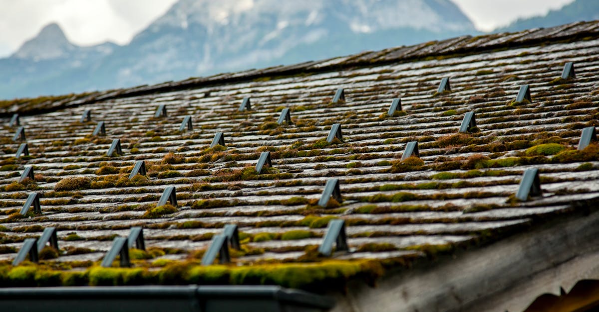 Exploring Natural Alternatives to Chemical Roof Cleaners