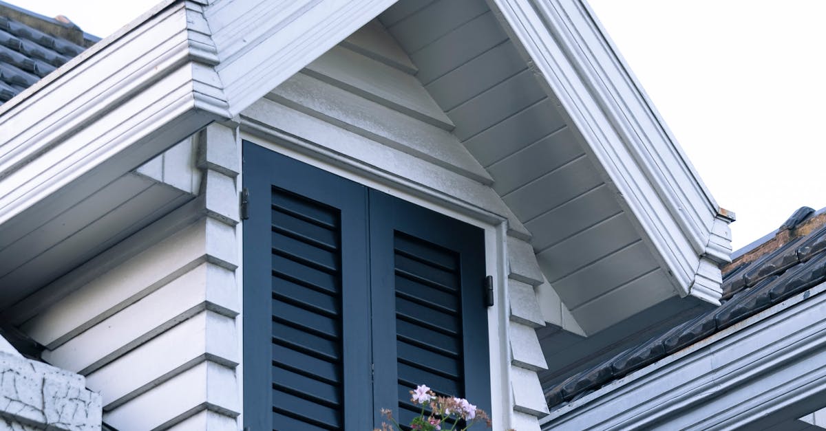 How Roof Cleaning Chemicals Affect Local Insect Biodiversity