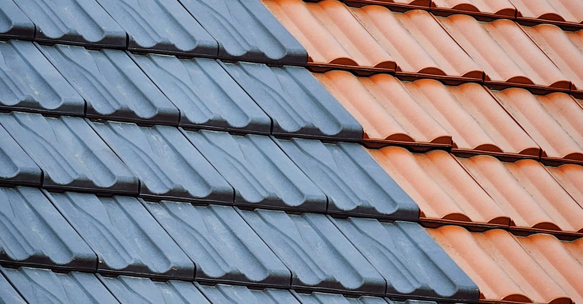 How to Schedule Your Roof Cleaning to Avoid Weather Disruptions