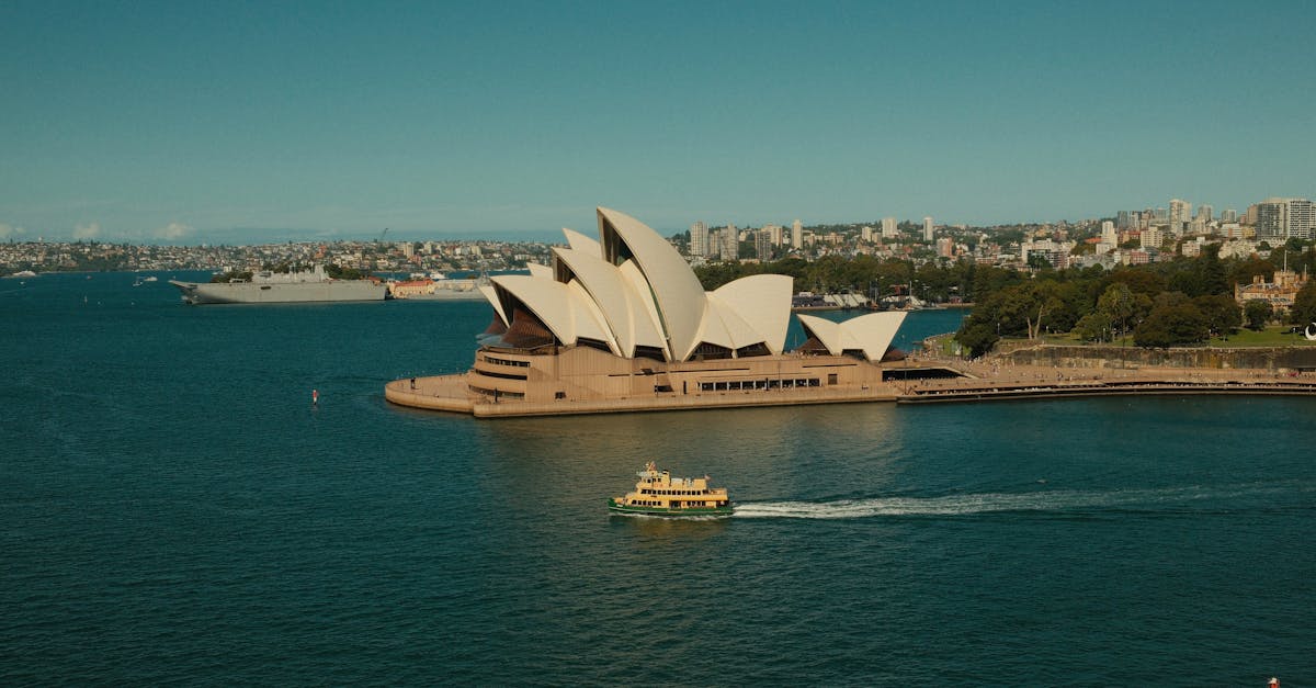 Natural Alternatives to Chemical Roof Cleaners