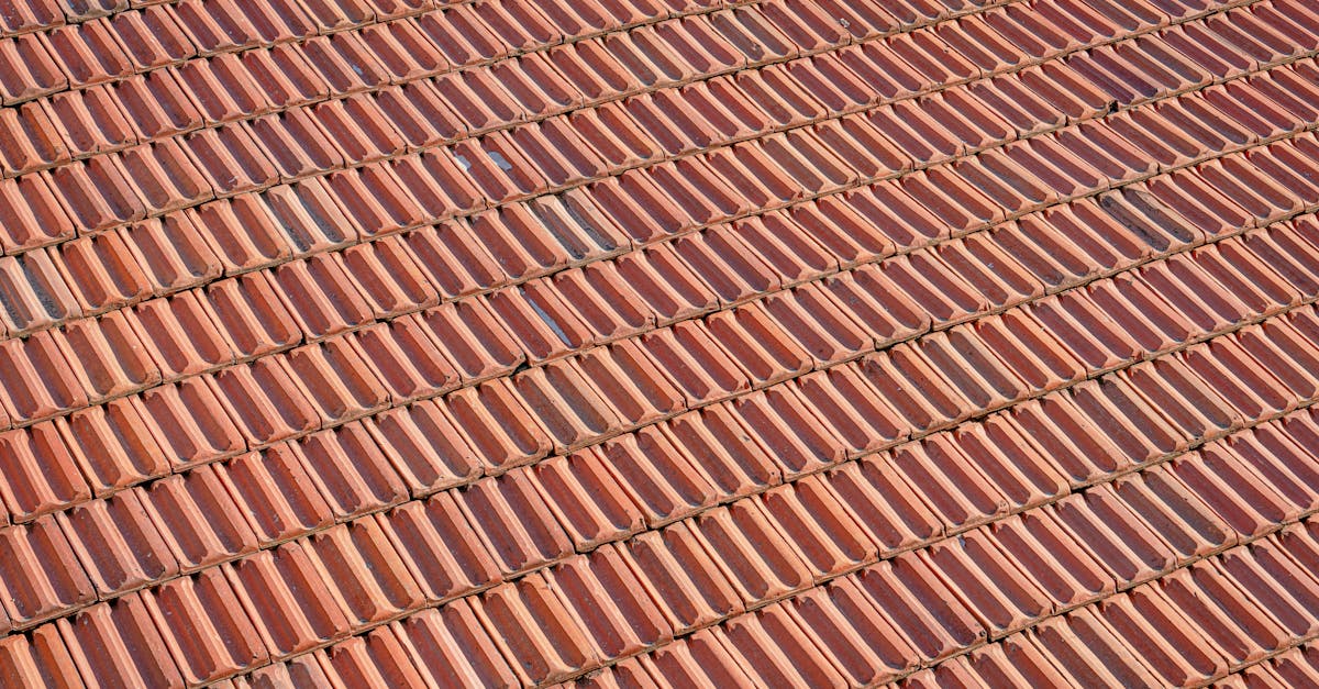 Safety Gear You Need for DIY Roof Cleaning Activities