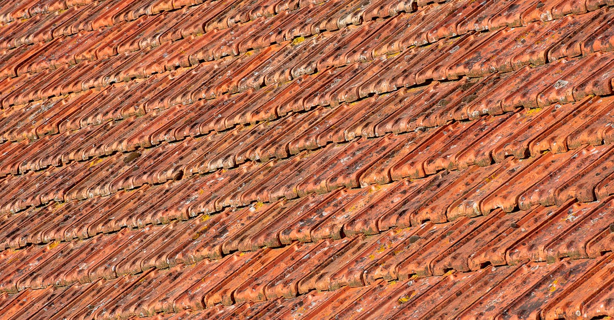 Strategies to Minimise Soil Contamination from Roof Cleaning Chemicals