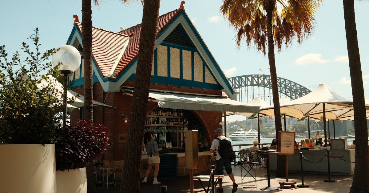 The Best Brushes for Removing Moss and Algae from Roofs