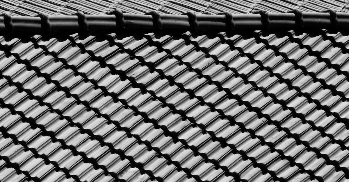 The Long-term Consequences of Roof Cleaning Chemicals on Local Ecosystems