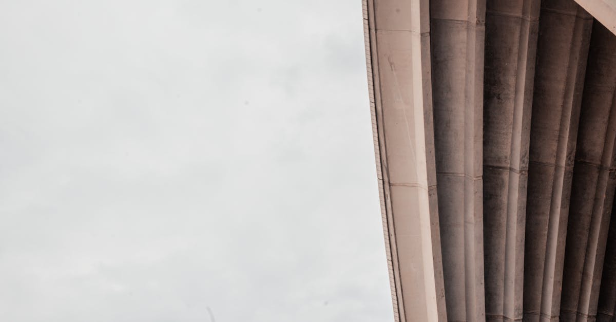 The Role of Essential Oils in Eco-Friendly Roof Cleaning