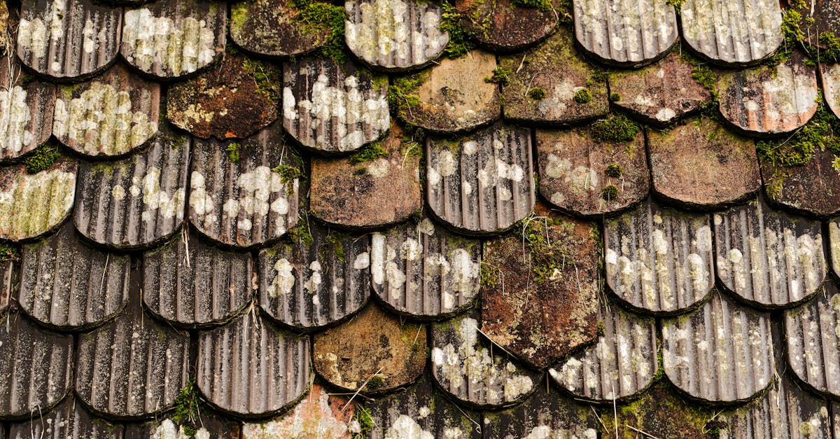 Tips for Avoiding Electrical Hazards During Roof Cleaning