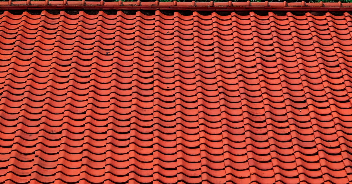 Understanding the Effects of Chemical Runoff on Soil Quality in Sydney