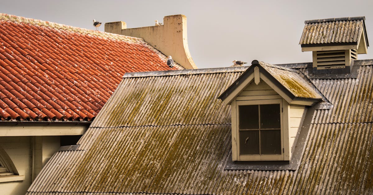 Understanding the Lifecycle of Roof Cleaning Products