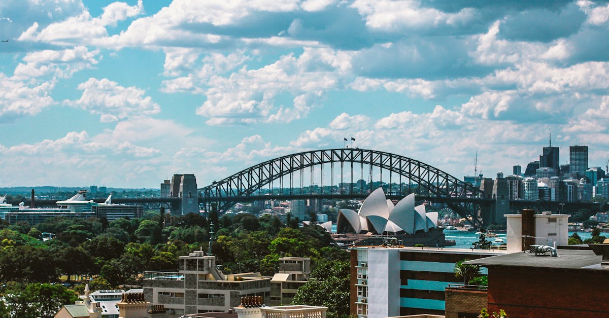 Understanding the Relationship Between Roof Cleaning Practices and Local Aquatic Life